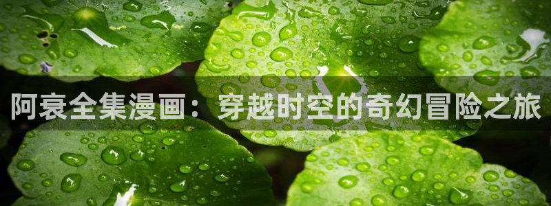 韩漫免费阅读在线观看漫画：阿衰全集漫画：穿越时空的奇幻冒险之旅