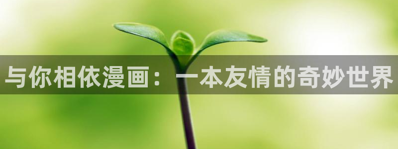 外网韩漫网站：与你相依漫画：一本友情的奇妙世界