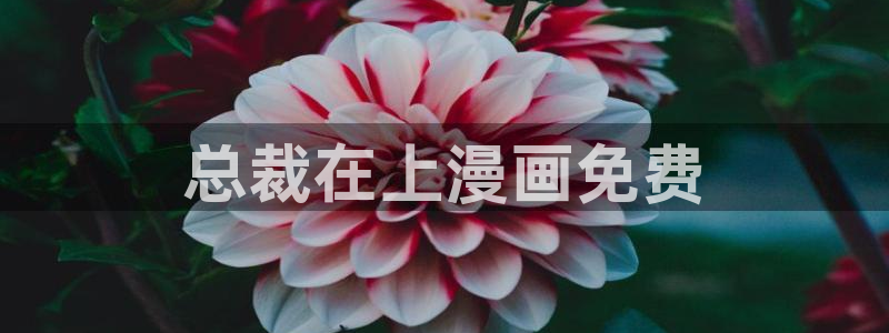 韩漫漫画免费观看：总裁在上漫画免费