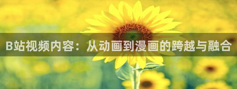 韩漫漫画免费阅读软件有哪些：B站视频内容：从动画到漫画的跨越与融合